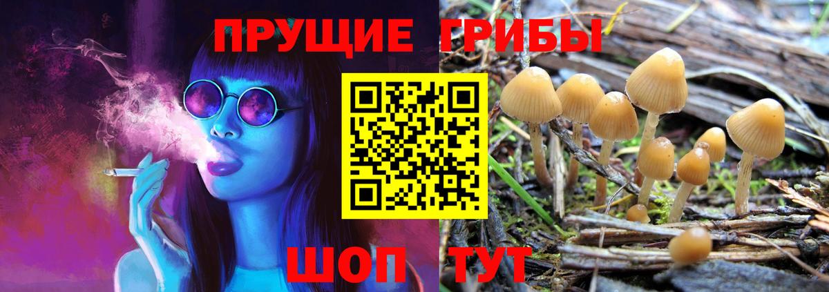 Псилоцибиновые грибы мицелий  Вход с VPN  Ливны 